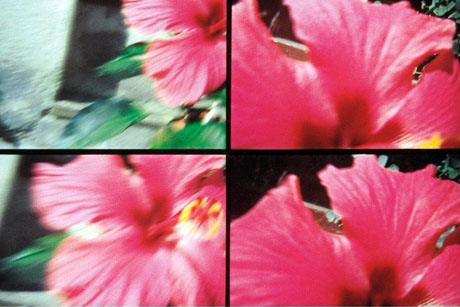 4 Lens Action Sampler Lomo 35mm Film Camera White