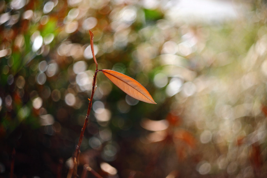 Helios 44-3 58mm F2 Lens