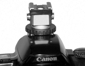 Hot Shoe" Adapter "Universal" (2 pc sockets for sync cable)"