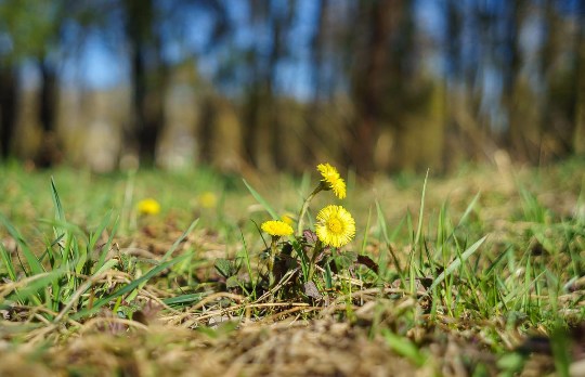 Jupiter-12 35mm f2.8 Russian Lens for Sony NEX - 画像 (4)