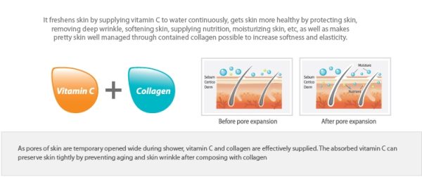 Waters Therapy Shower Aroma Filter Kit - Image 9